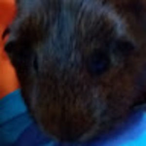 Meet your Posher, Colton